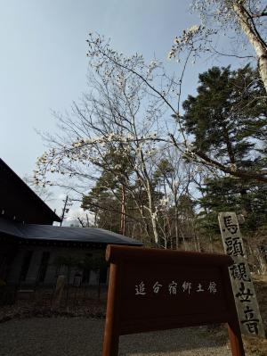 郷土館前庭の写真