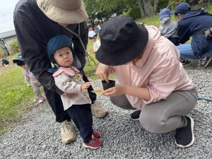 ひまわり①