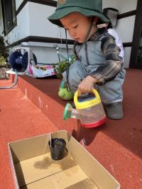 ひまわり②