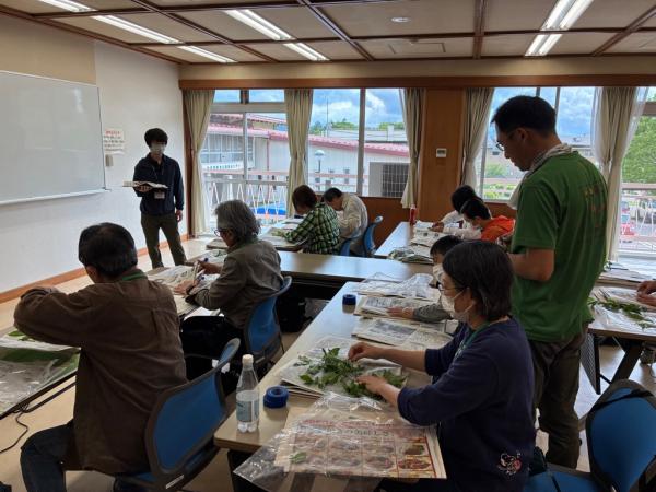 押し葉標本づくりの様子