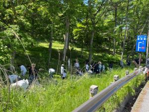 特定外来生物（植物）駆除風景１