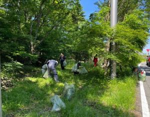 特定外来生物（植物）駆除風景2