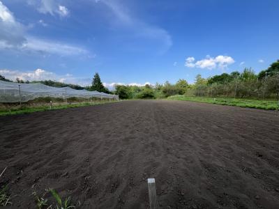 ほ場1