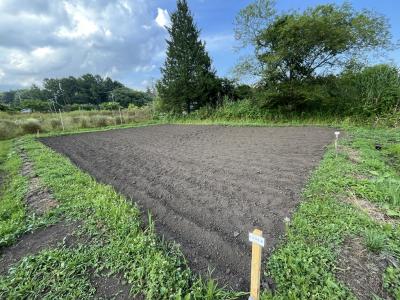 ほ場2