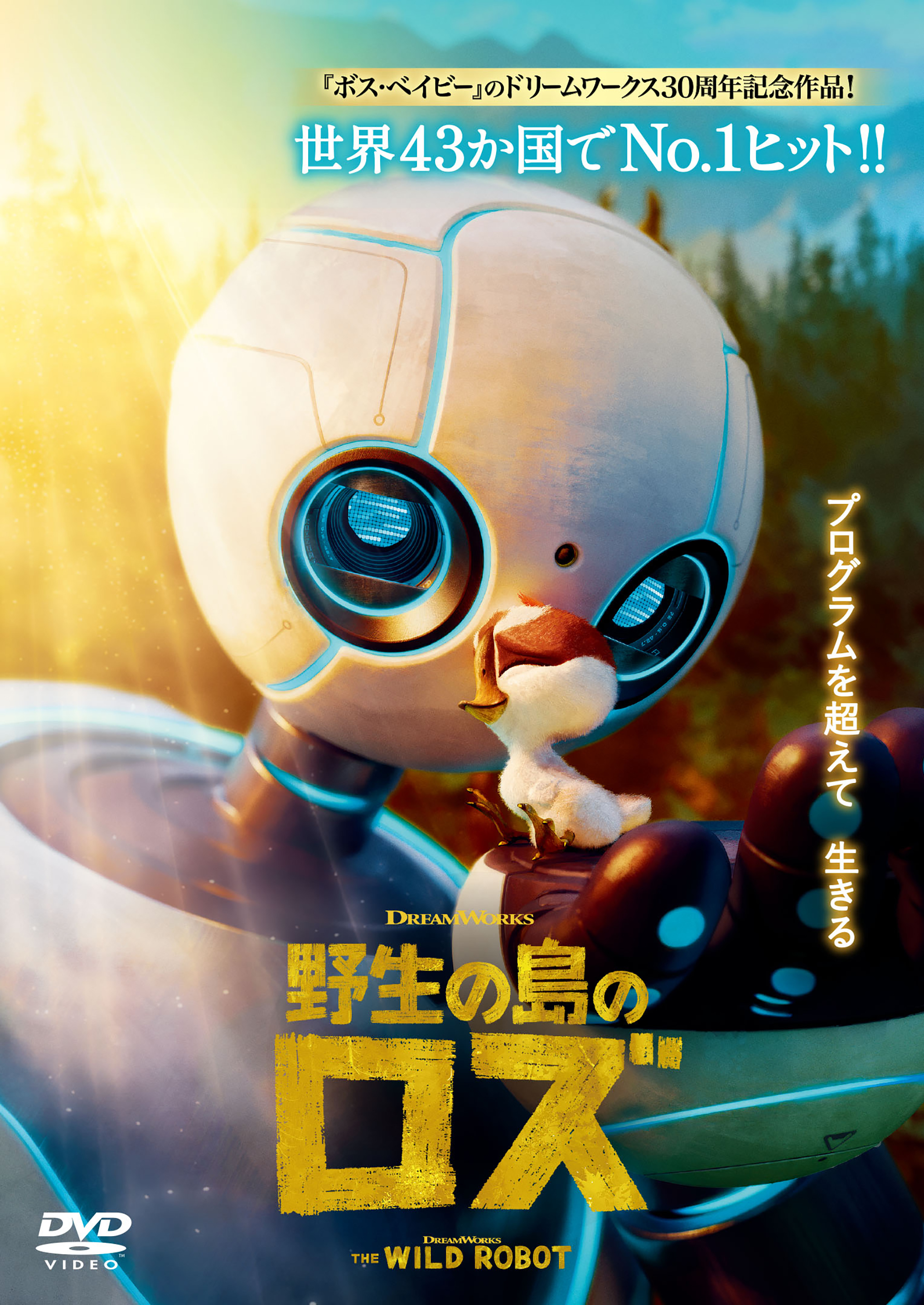 人権映画上映会告知画像