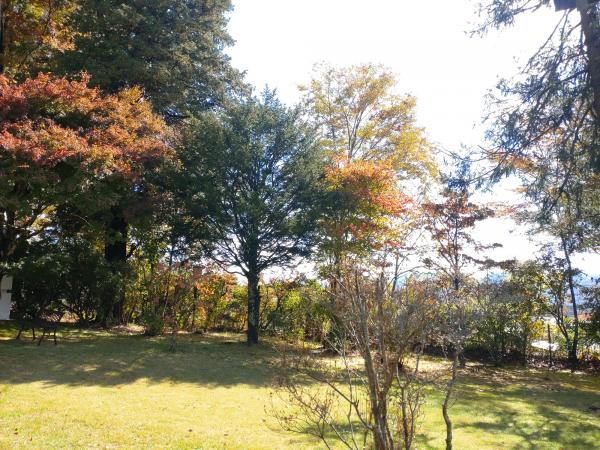 書庫から見た庭の景色