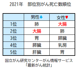 単独大腸CTドックの画像