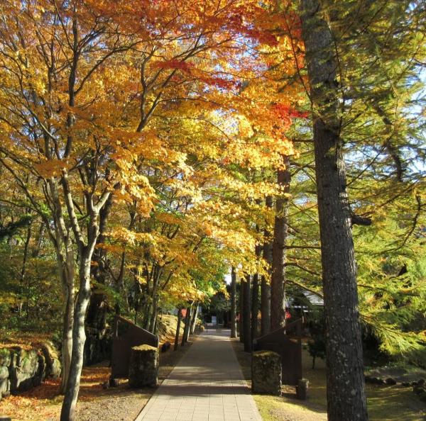 堀辰雄文学記念館の入口・アプローチの写真