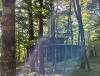 一般住宅部門優秀賞三善邸の写真