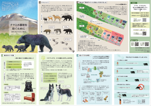 クマとの事故を防ぐために