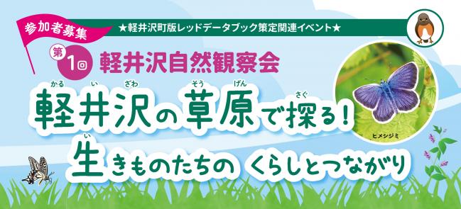 軽井沢の草原で探る！生きものたちのくらしとつながり