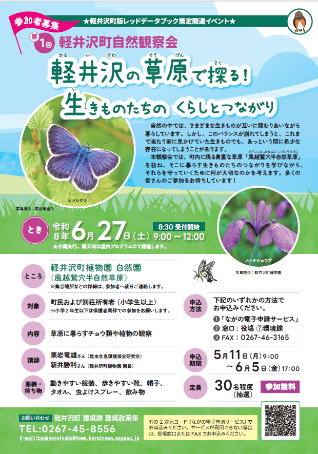 チラシ