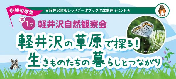 軽井沢の草原で探る！生きものたちのくらしとつながり