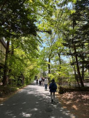 新緑の軽井沢を歩く様子