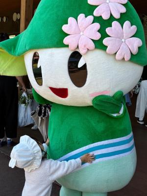 緑化木１