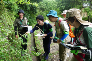 自然観察指導員講習会の写真