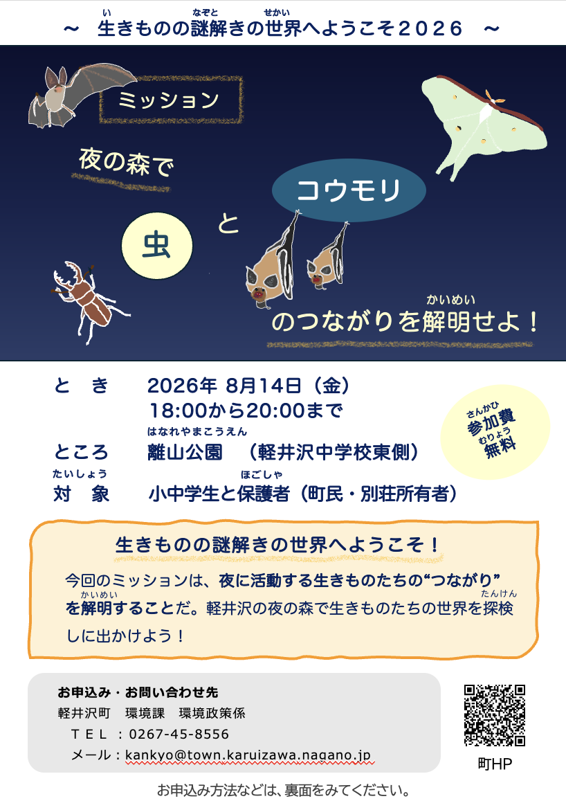 チラシ表面