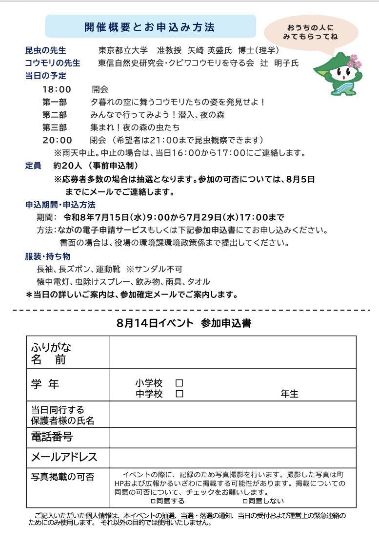 チラシ裏面