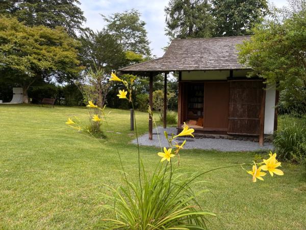ゆうすげの花と堀辰雄の書庫