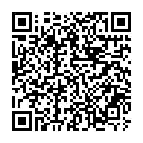 プログラムB 申し込みフォーム