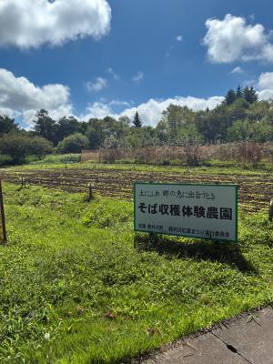看板と畑