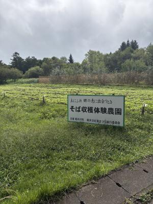 看板