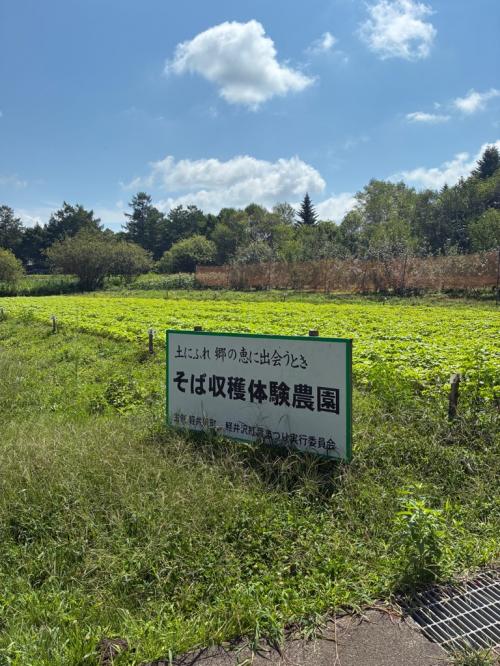 看板