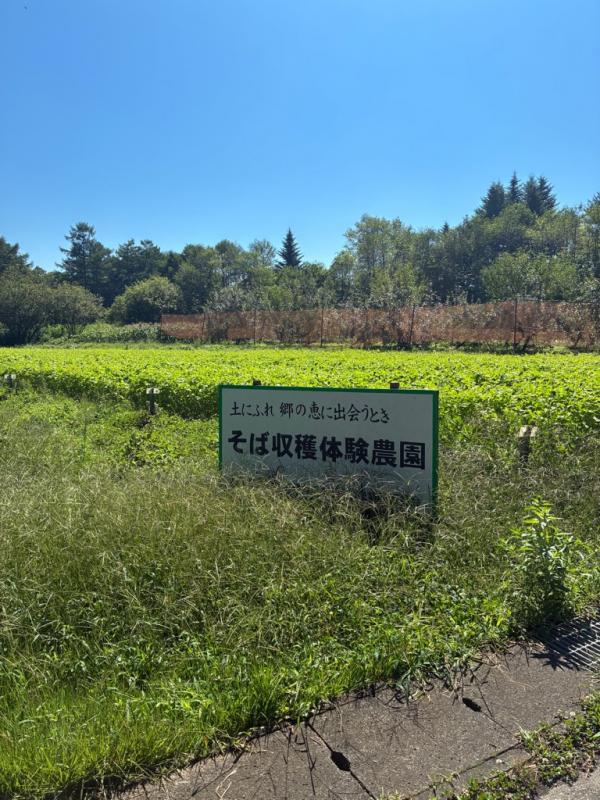 看板