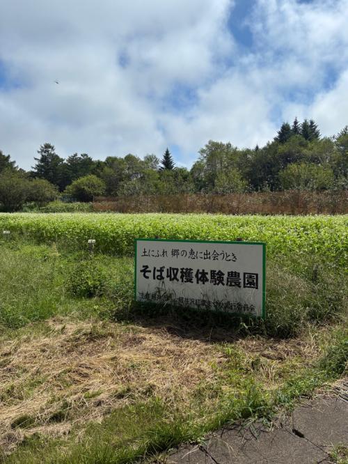 看板
