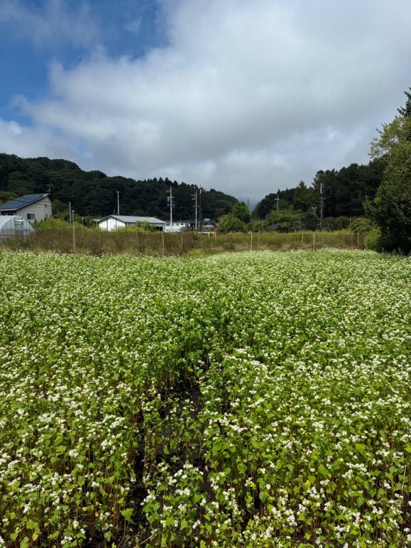 浅間山