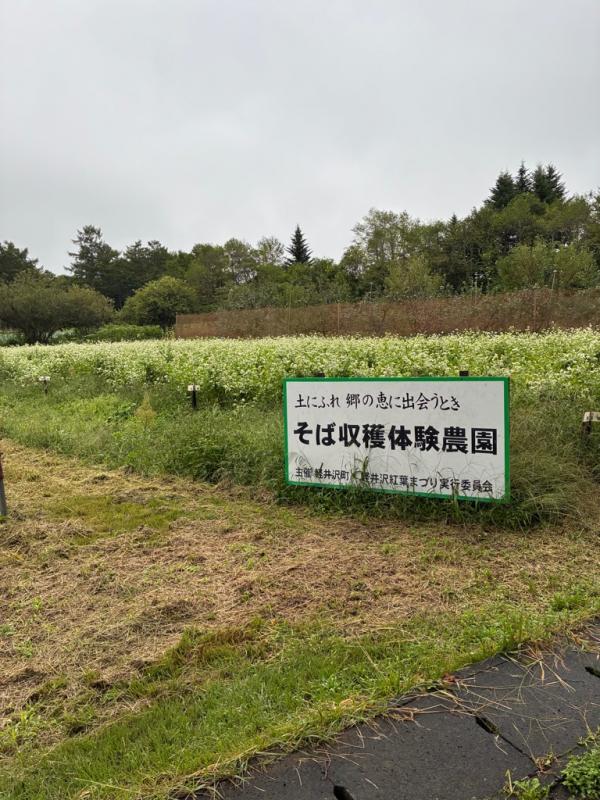 看板