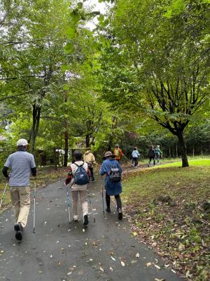 雨上がりの涼しい外で歩きました