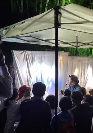 夜の観察会の様子