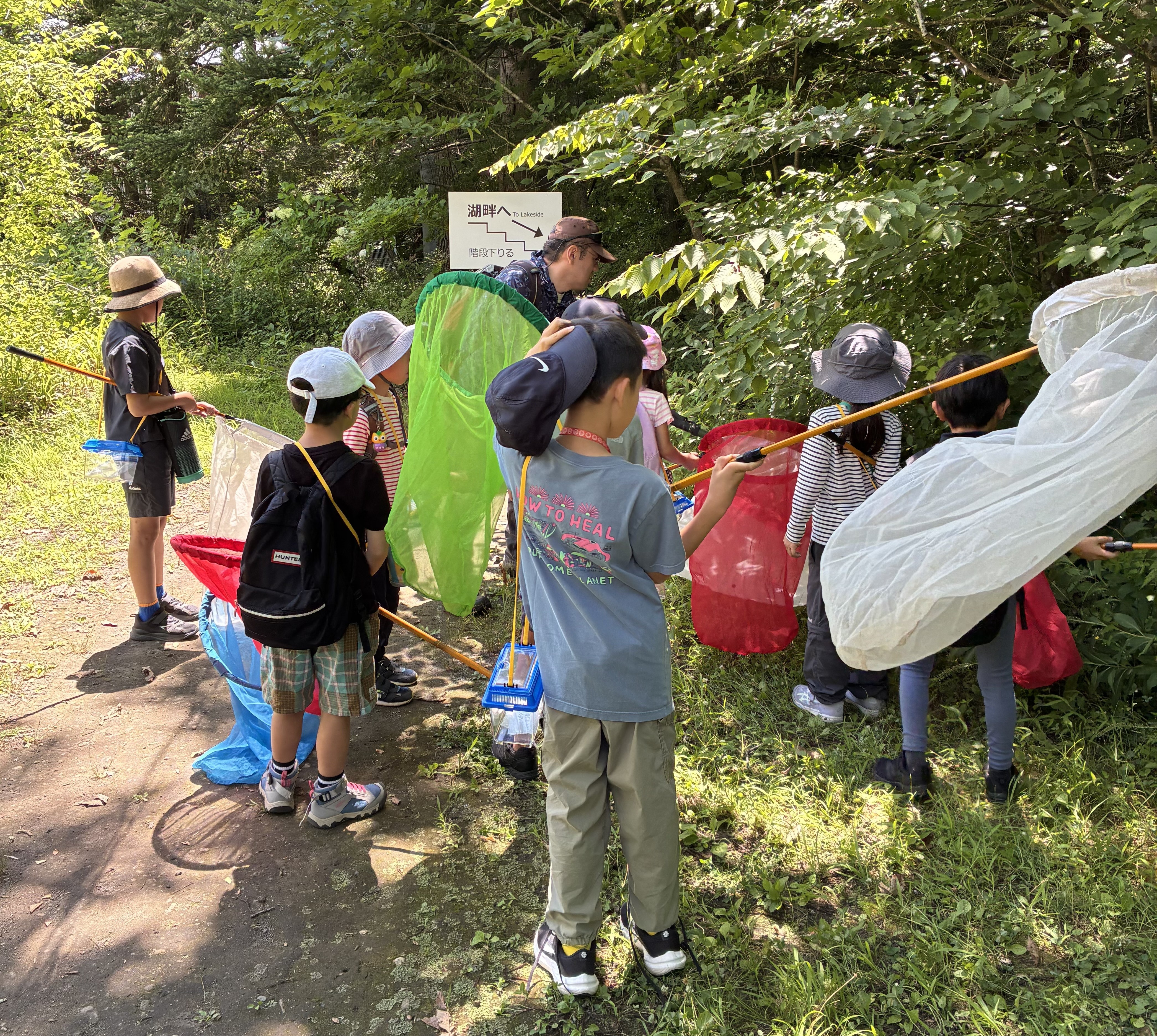 野外活動の様子