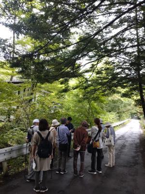 サナトリウムレーンでの説明