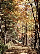 秋の信濃路自然歩道